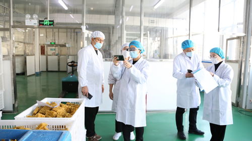 大連自貿片區推出食品生產加工“5G+AR”智慧監管新模式，賦能健康管理與咨詢